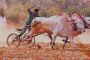 तब्बल 40 वर्षानंतर बोखारा फेटरी जि. प. सर्कलमध्ये शंकरपटांचे आयोजन